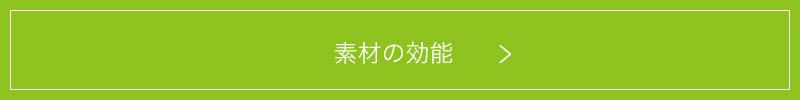 WASIXとは
